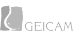 GEICAM - Fundación Grupo Español de Investigación en Cáncer de Mama
