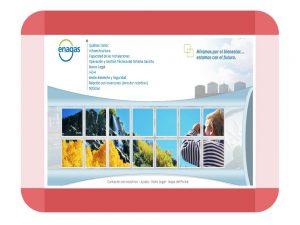 Proyecto Enagas